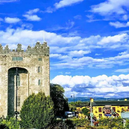 2 Bed Sandstone Apartamento Newport (Tipperary)